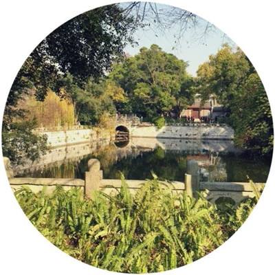 新梦幻三国bt版下载