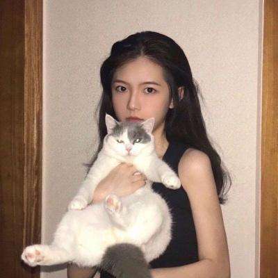 孔明的陷阱破解版下载